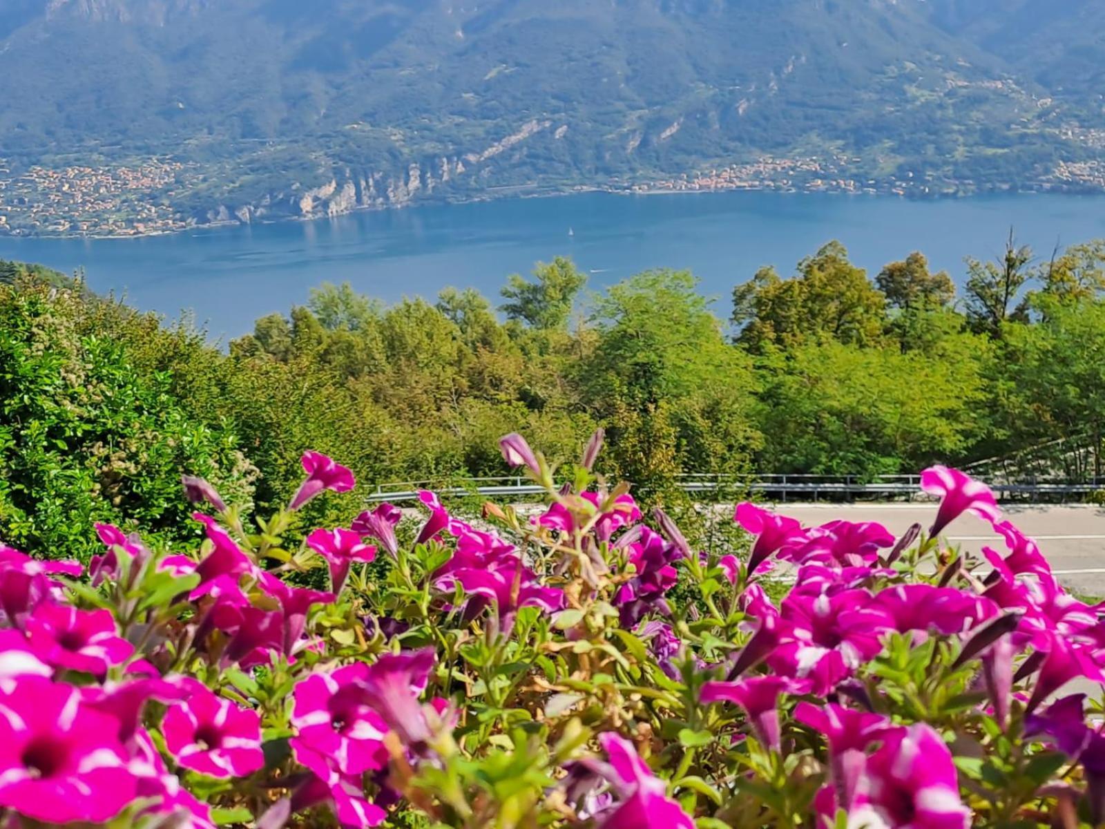 Bed & Breakfast Bellagio Exterior photo