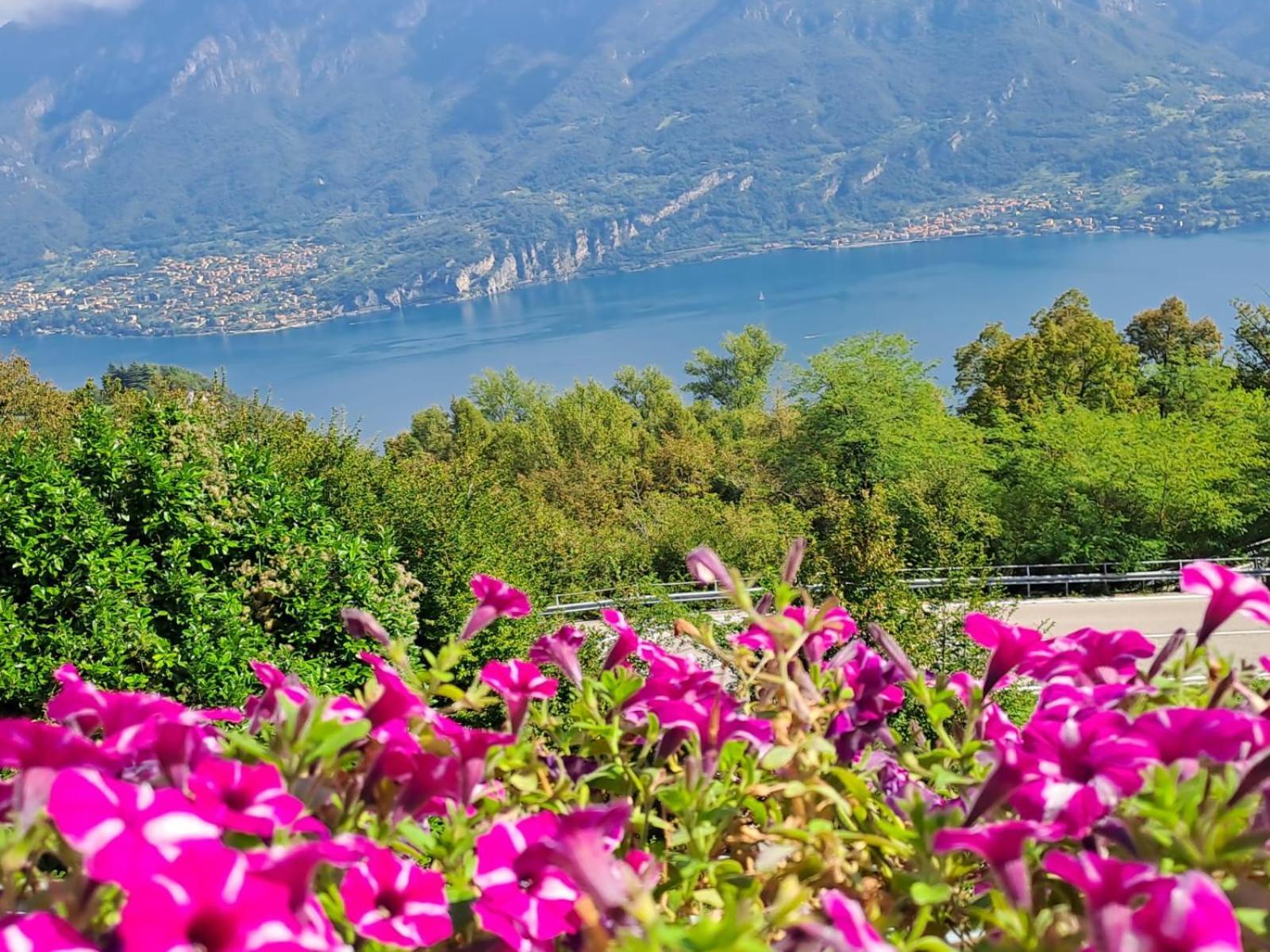 Bed & Breakfast Bellagio Exterior photo